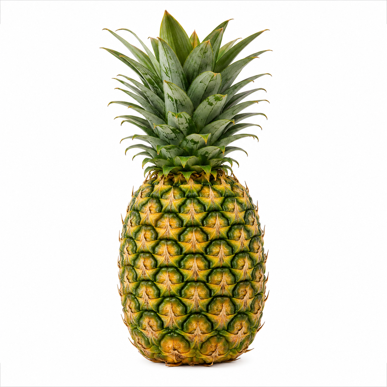 Pineapple – Organically Grown – 1 Pc (800 gm - 1.5 kg) – Maganappa Farm