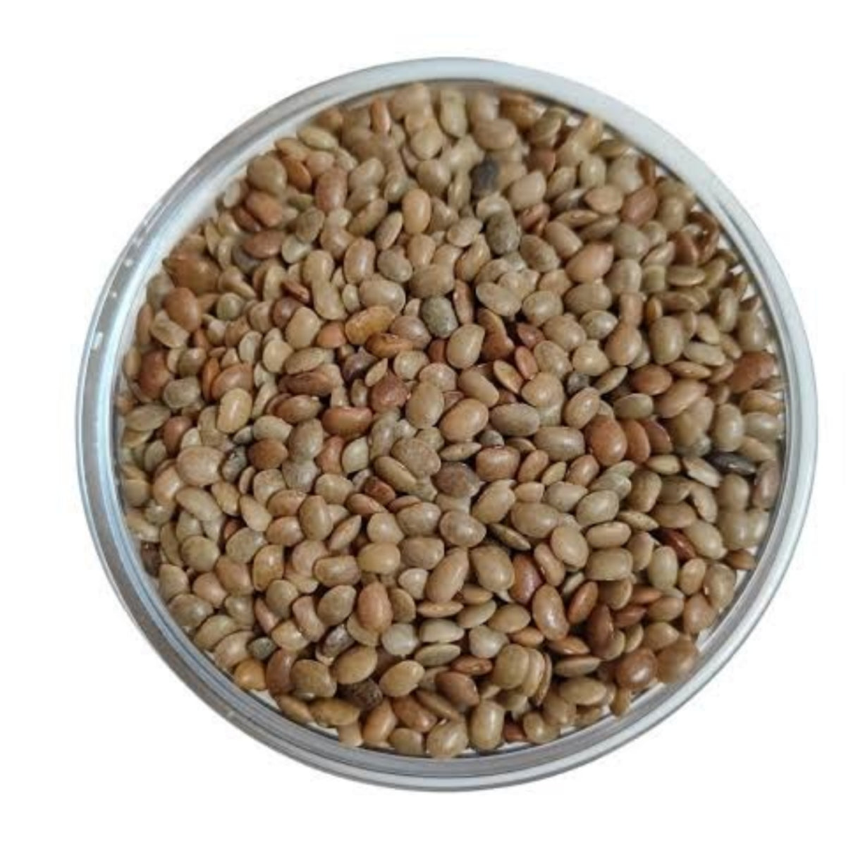 Horse Gram (Kulthi / Huruli) – Certified Organic – Sahaja Organic