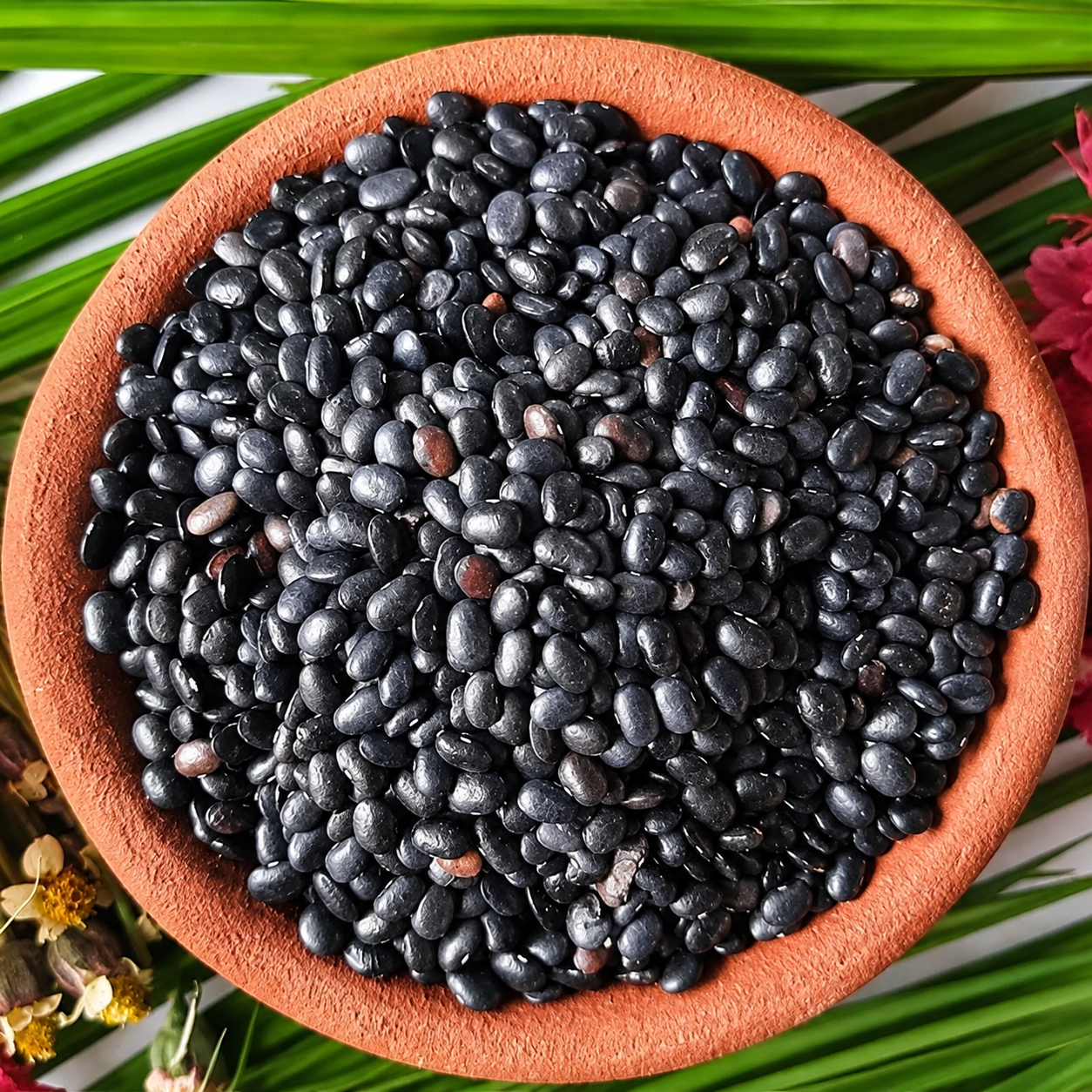 Horse Gram Black (Black Kulthi / Black Huruli) – Certified Organic – Sahaja Organic