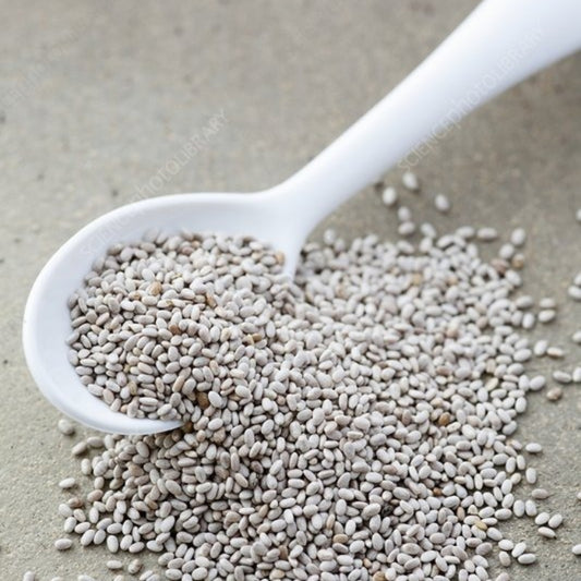 White Chia Seeds – Certified Organic – Sahaja Organic
