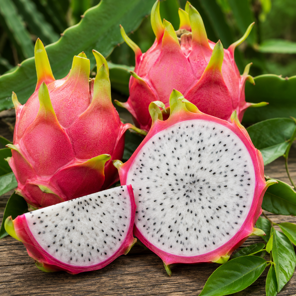 White Dragon Fruit – Organically Grown – Preorder – 2 Kg – Prasad Farm